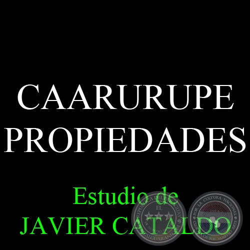 CAARURUPE - PROPIEDADES - Estudio de JAVIER CATALDO