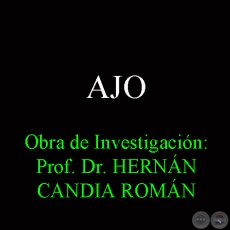 AJO - Obra de Investigacin: Prof. Dr. HERNN CANDIA ROMN
