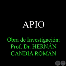 APIO - Obra de Investigacin: Prof. Dr. HERNN CANDIA ROMN