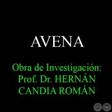 AVENA - Obra de Investigacin: Prof. Dr. HERNN CANDIA ROMN