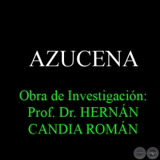 AZUCENA - Obra de Investigacin: Prof. Dr. HERNN CANDIA ROMN