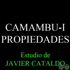 CAMAMBU-I - PROPIEDADES - Estudio de JAVIER CATALDO