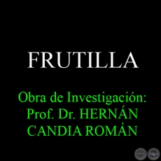 FRUTILLA - Obra de Investigacin: Prof. Dr. HERNN CANDIA ROMN