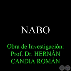 NABO - Obra de Investigacin: Prof. Dr. HERNN CANDIA ROMN