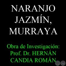 NARANJO JAZMN, MURRAYA - Obra de Investigacin: Prof. Dr. HERNN CANDIA ROMN