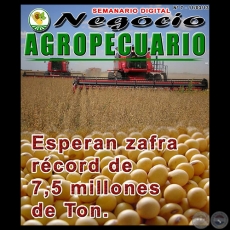 NEGOCIO AGROPECUARIO - N 7 - 11/03/13 - REVISTA DIGITAL