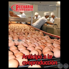 PECUARIA & NEGOCIOS - AÑO 10 - N° 111 - REVISTA OCTUBRE 2013 - PARAGUAY