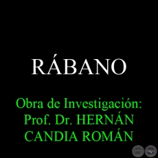 RBANO - Obra de Investigacin: Prof. Dr. HERNN CANDIA ROMN