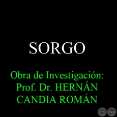 SORGO - Obra de Investigacin: Prof. Dr. HERNN CANDIA ROMN