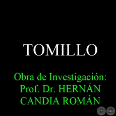 TOMILLO - Obra de Investigacin: Prof. Dr. HERNN CANDIA ROMN