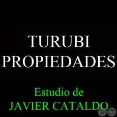 TURUBI - PROPIEDADES - Estudio de JAVIER CATALDO