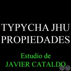 TYPYCHA JHU - PROPIEDADES - Estudio de JAVIER CATALDO