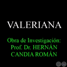 VALERIANA - Obra de Investigacin:Prof. Dr. HERNN CANDIA ROMN