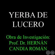 YERBA DE LUCERO - Obra de Investigacin: Obra de Investigacin:  Prof. Dr. HERNN CANDIA ROMN