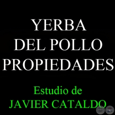 YERBA DEL POLLO - PROPIEDADES - Estudio de JAVIER CATALDO
