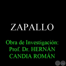 ZAPALLO - Obra de Investigacin: Prof. Dr. HERNN CANDIA ROMN