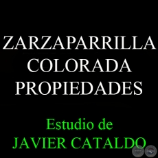 ZARZAPARRILLA COLORADA - PROPIEDADES - Estudio de JAVIER CATALDO