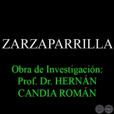 ZARZAPARRILLA - Obra de Investigacin: Prof. Dr. HERNN CANDIA ROMN