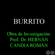 BURRITO - Obra de Investigacin: Prof. Dr. HERNN CANDIA ROMN