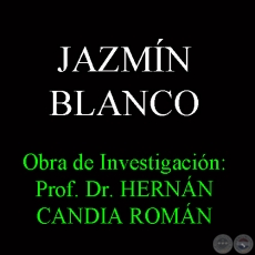 JAZMN BLANCO - Obra de Investigacin: Prof. Dr. HERNN CANDIA ROMN