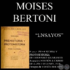 ENSAYOS - PREHISTORIA Y PROTOHISTORIA DE LOS PAISES GUARANÍES (Por MOISÉS BERTONI)