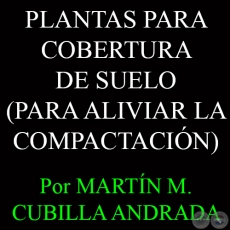 PLANTAS PARA COBERTURA DE SUELO - Por MARTÍN M. CUBILLA ANDRADA
