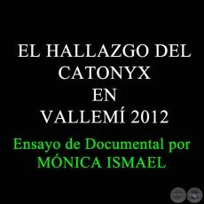 EL HALLAZGO DEL CATONYX EN VALLEM 2012 - Ensayo de Documental por MNICA ISMAEL