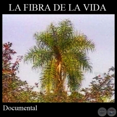 LA FIBRA DE LA VIDA (Documental)