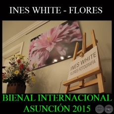 INES WHITE - FLORES FOTOGRAFA - BIENAL INTERNACIONAL ASUNCIN 2015