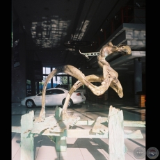 PIERNAS LARGAS, 2003 - Esculturas de GUSTAVO BECKELMANN
