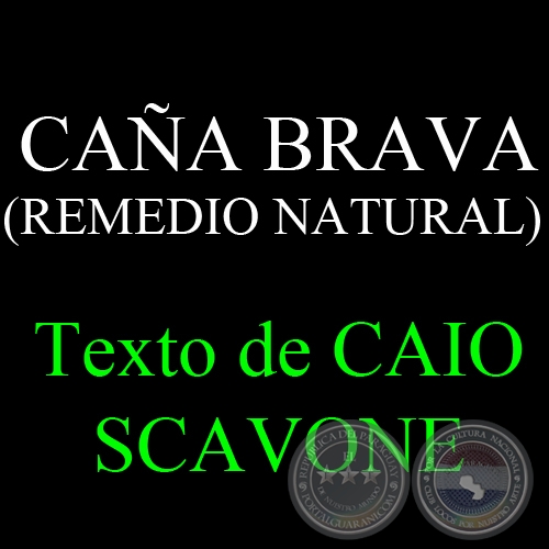 CAA BRAVA (REMEDIO NATURAL) - Texto de CAIO SCAVONE