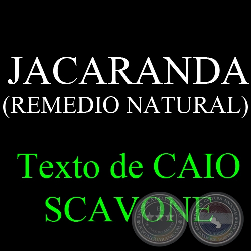 JACARANDA ( REMEDIO NATURAL) - Texto de CAIO SCAVONE