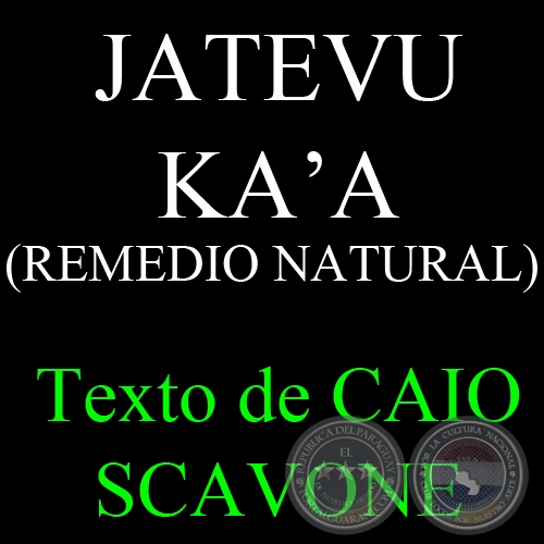 JATEVU KAA ( REMEDIO NATURAL) - Texto de CAIO SCAVONE
