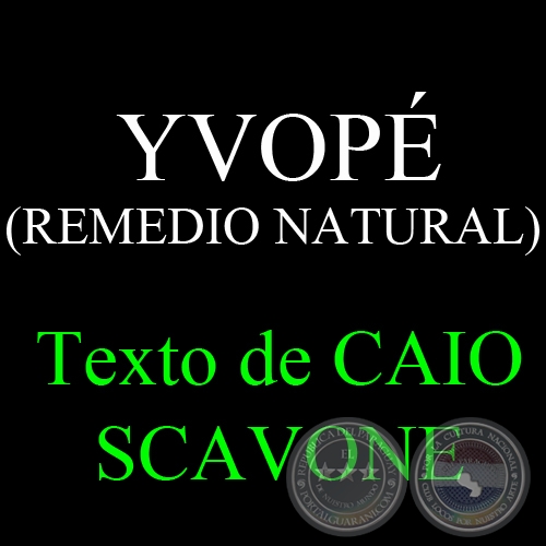 YVOP (REMEDIO NATURAL) - Texto de CAIO SCAVONE