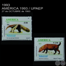 AMRICA 1993 / UPAEP