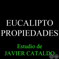 EUCALIPTO - PROPIEDADES - Estudio de JAVIER CATALDO