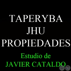 TAPERYBA - JHU - PROPIEDADES - Estudio de JAVIER CATALDO