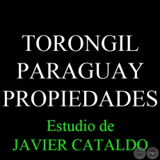TORONGIL PARAGUAY - PROPIEDADES - Estudio de JAVIER CATALDO