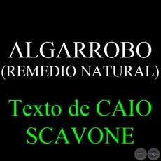 ALGARROBO (REMEDIO NATURAL) - Texto de CAIO SCAVONE