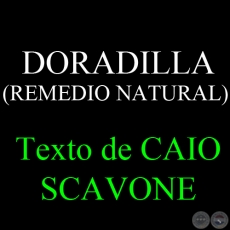 DORADILLA ( REMEDIO NATURAL) - Texto de CAIO SCAVONE