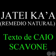 JATEI KA’A ( REMEDIO NATURAL) - Texto de CAIO SCAVONE