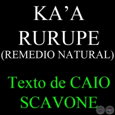KA’A RURUPE ( REMEDIO NATURAL) - Texto de CAIO SCAVONE