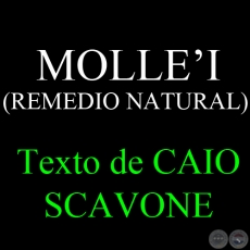 MOLLEI (REMEDIO NATURAL) - Texto de CAIO SCAVONE