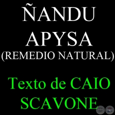 ANDU APYSA ( REMEDIO NATURAL) - Texto de CAIO SCAVONE
