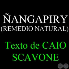 ANGAPIRY (REMEDIO NATURAL) - Texto de CAIO SCAVONE