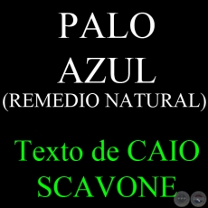 PALO AZUL ( REMEDIO NATURAL) - Texto de CAIO SCAVONE