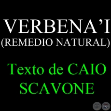 VERBENAI (REMEDIO NATURAL) - Texto de CAIO SCAVONE