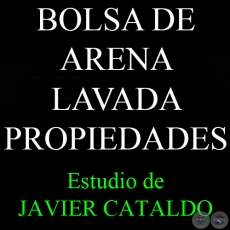 BOLSA DE ARENA LAVADA - PROPIEDADES - Estudio de JAVIER CATALDO