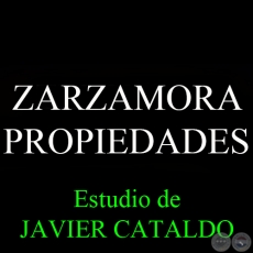 ZARZAMORA - PROPIEDADES - Estudio de JAVIER CATALDO