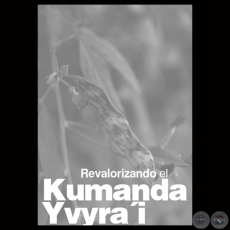 EL MANUAL REVALORIZANDO EL KUMANDA YVYRAI - Autora: VENUS CABALLERO